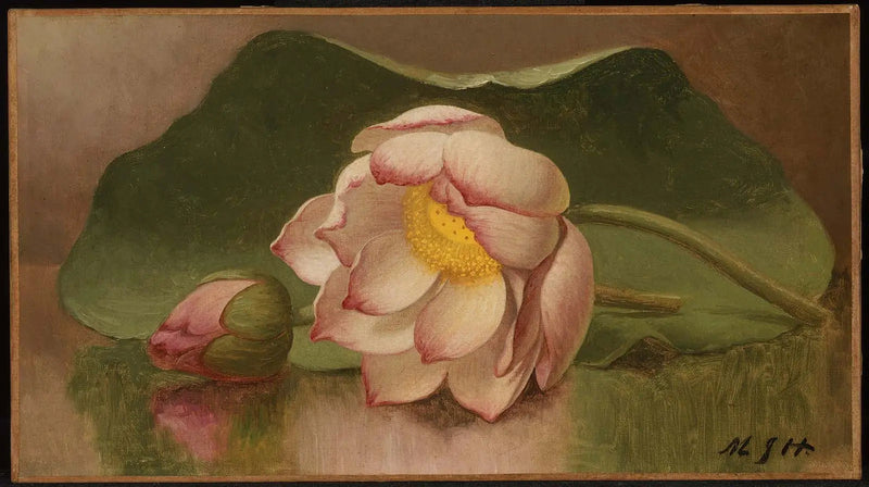 Lotusbloem - Martin Johnson Heade

Source:
Fleur de lotus - Martin Johnson Heade