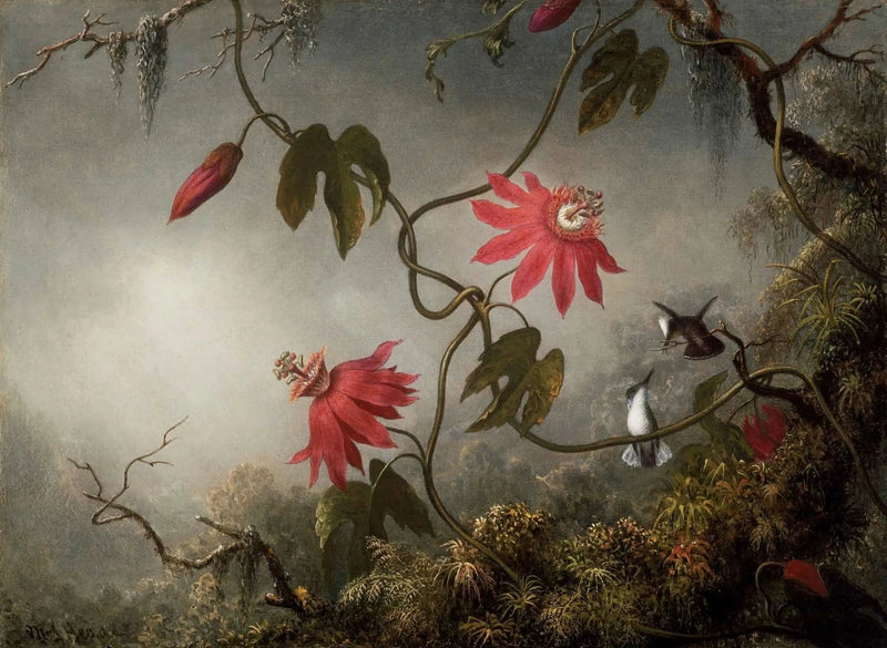 Passie bloemen en kolibries - Martin Johnson Heade

Source:
Fleurs de la passion et Colibris - Martin Johnson Heade