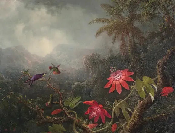 Passie bloemen en Drie kolibries - Martin Johnson Heade

Source:
Fleurs de la passion et Trois Colibris - Martin Johnson Heade