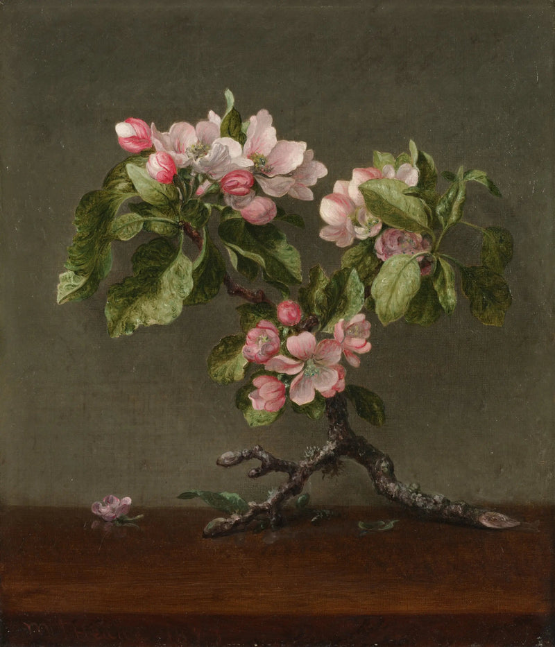 Appelbloesems - Martin Johnson Heade

Source:
Fleurs de pommier - Martin Johnson Heade