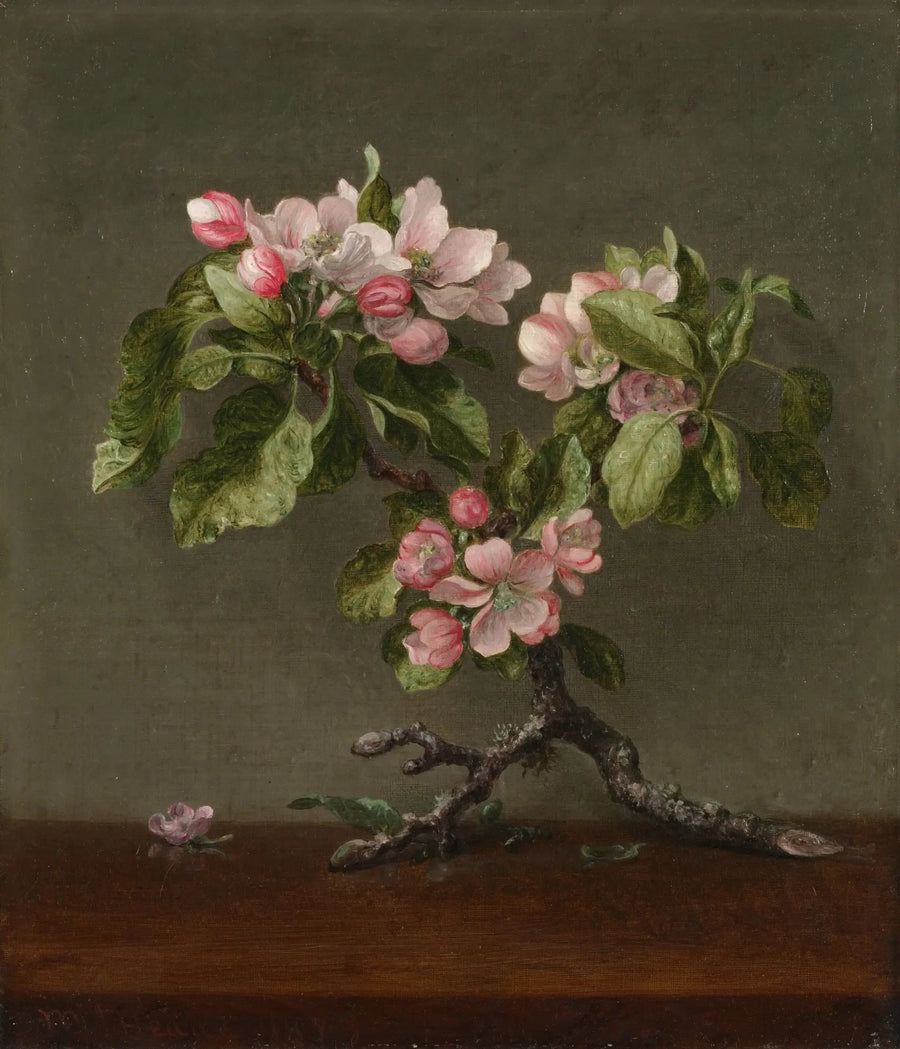 Appelbloesems - Martin Johnson Heade

Source:
Fleurs de pommier - Martin Johnson Heade