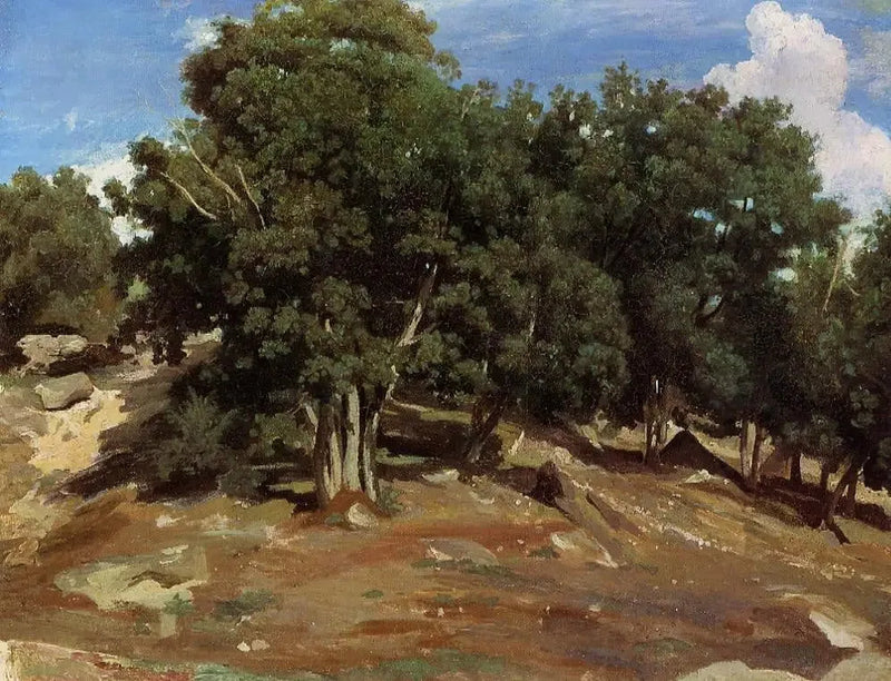 Fontainebleau – Zwarte eiken van Bas-Préau - Jean-Baptiste Camille Corot