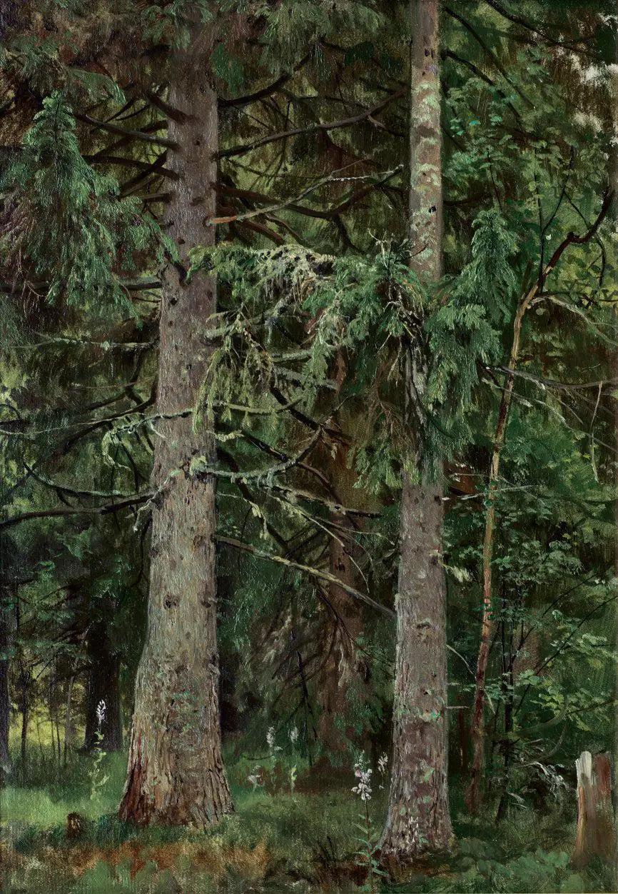 Dennenbos - Ivan Chichkine

Source:
Forêt d'épicéas - Ivan Chichkine