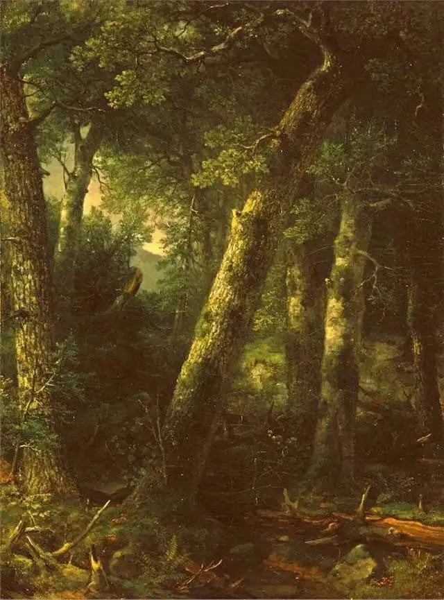 Bos in het ochtendlicht - Asher Brown Durand

Source:
Forêt dans la lumière du matin - Asher Brown Durand