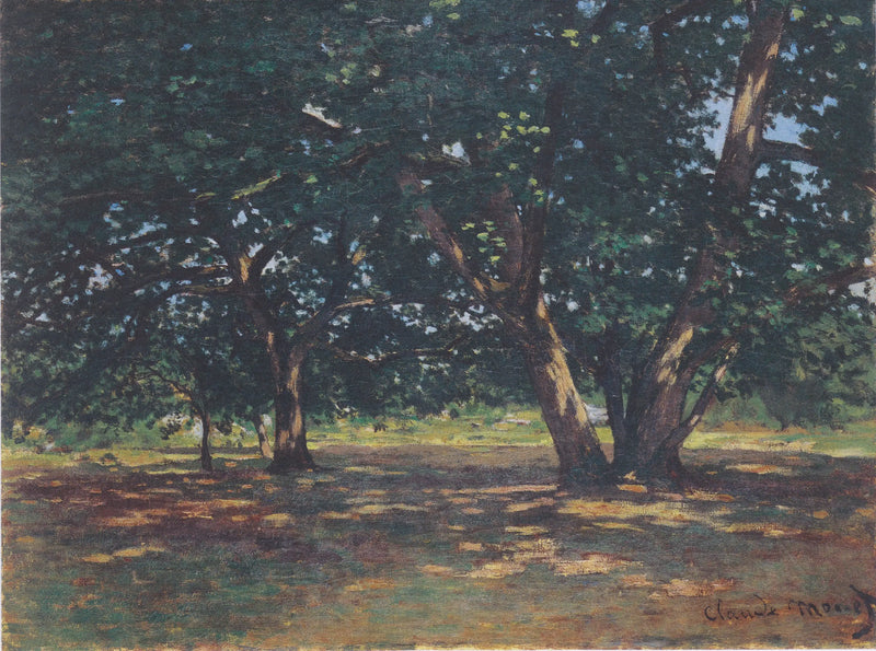 Forêt van Fontainebleau - Claude Monet
