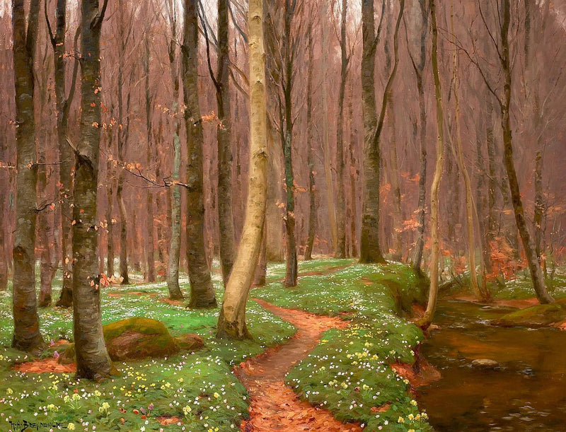 Beukenbos met bloeiende anemonen en een kleine beek. - H. A. Brendekilde

Source:
Forêt de hêtres avec des anémones en fleurs et un petit ruisseau. - H. A. Brendekilde