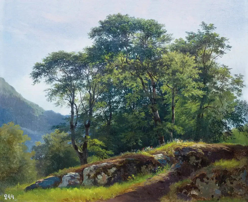 Beukenbos in Zwitserland - Ivan Chichkine

Source:
Forêt de hêtres en Suisse - Ivan Chichkine