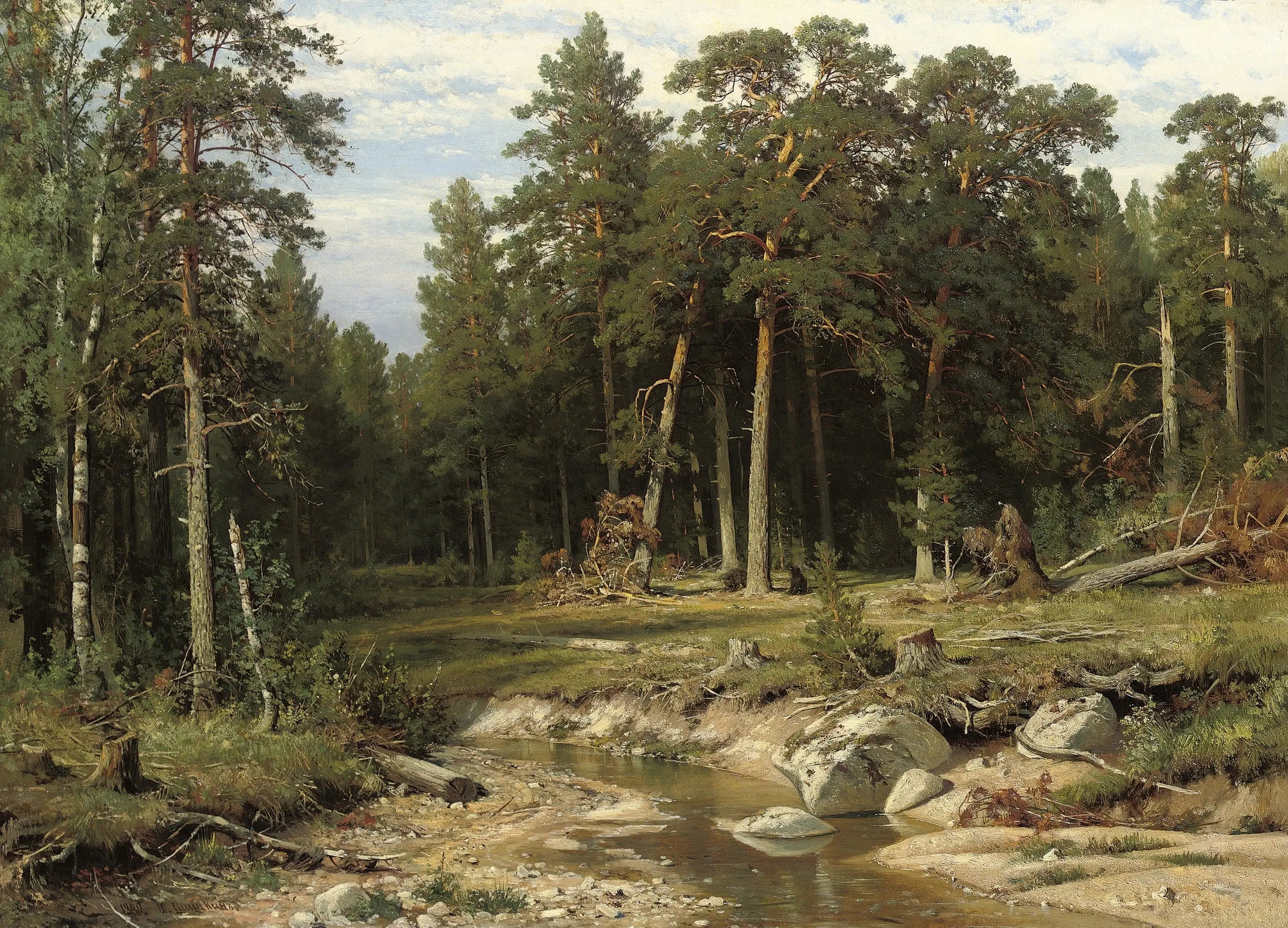 Forêt de pins mâts dans la province de Viatka - Ivan Chichkine - Alpha Reproduction