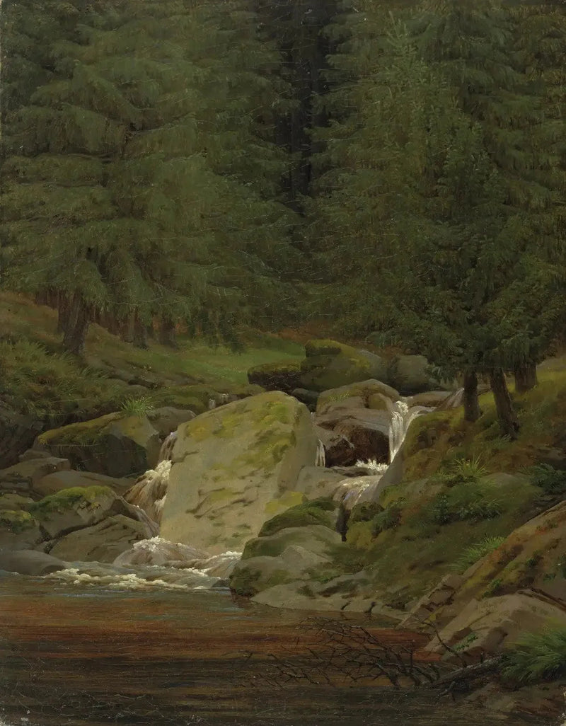 dennenbos met waterval - Caspar David Friedrich