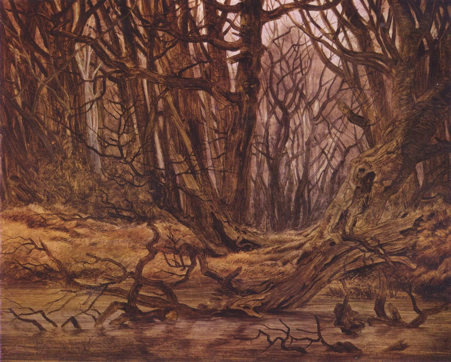 bos in het late najaar - Caspar David Friedrich