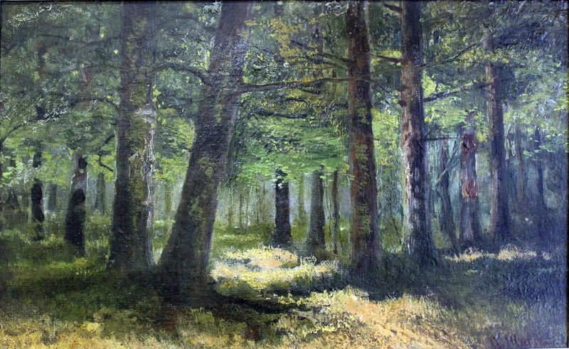 Bos - Ivan Chichkine

Source:
Forêt - Ivan Chichkine