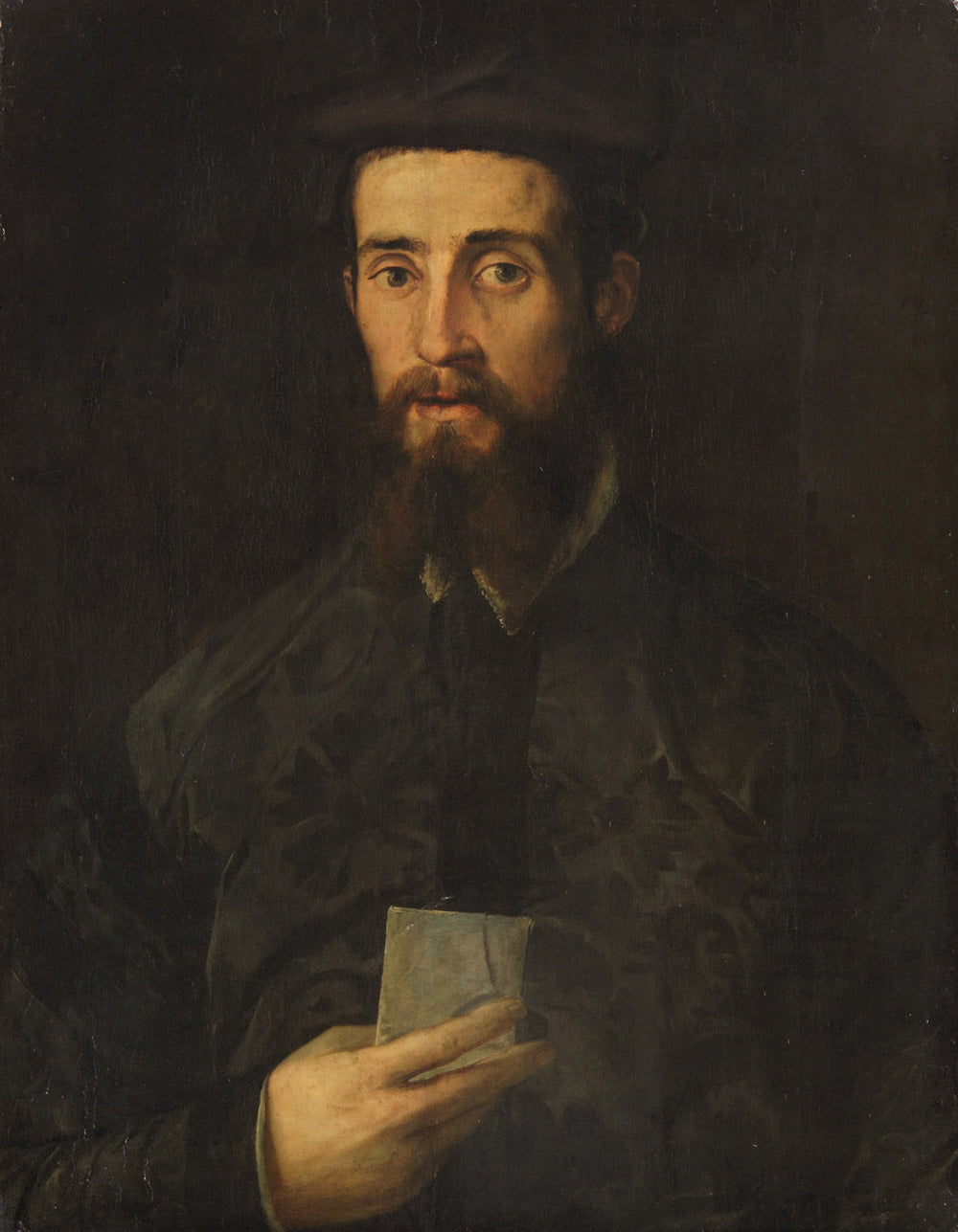 Q27979553 - Francesco Salviati - Alpha Reproduction
