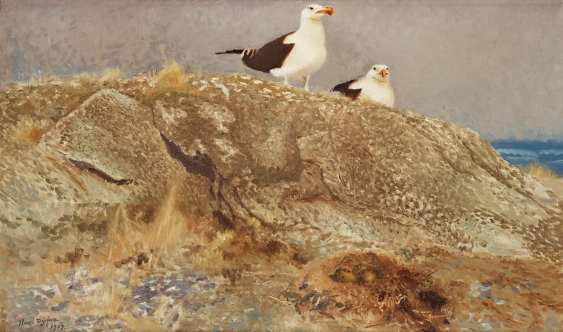 Goélands marins - Bruno Liljefors