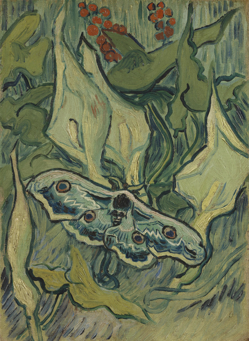 Grote nachtpauwoog - Vincent van Gogh