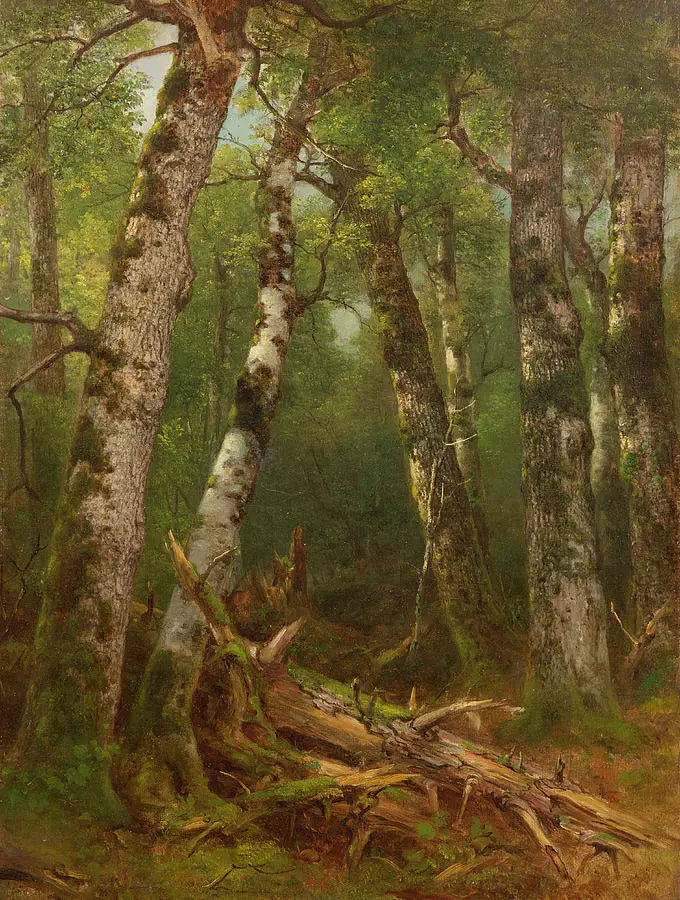 Boomgroep - Asher Brown Durand

Source:
Groupe d'arbres - Asher Brown Durand