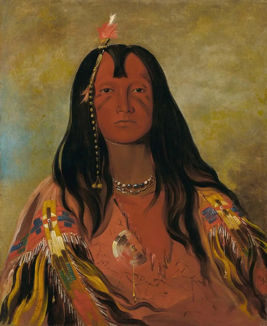 H'co-a-h'co-a-h'cotes-min, geen hoorns op het hoofd, een dappere - George Catlin

Source:
H'co-a-h'co-a-h'cotes-min, Pas de cornes sur la tête, un brave - George Catlin