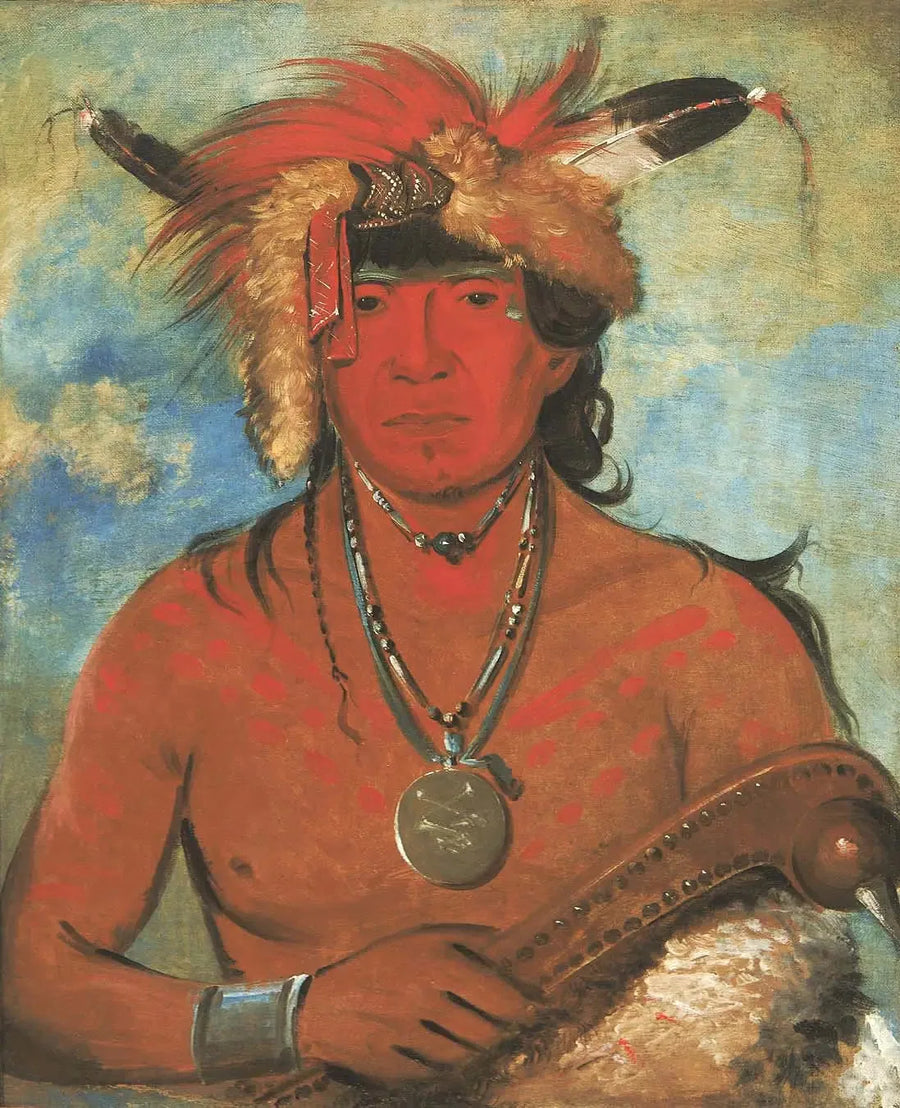 Háh-je-day-ah'-shee, Ontmoeting met de vogels, een dappere - George Catlin

Source:
Háh-je-day-ah'-shee, Rencontre avec les oiseaux, un brave - George Catlin