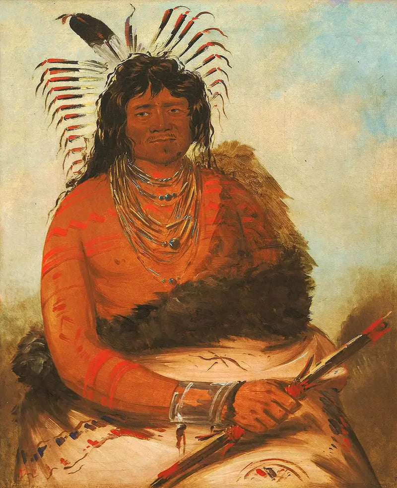 Háh-nee, de bever, een krijger - George Catlin

Source:
Háh-nee, le castor, un guerrier - George Catlin