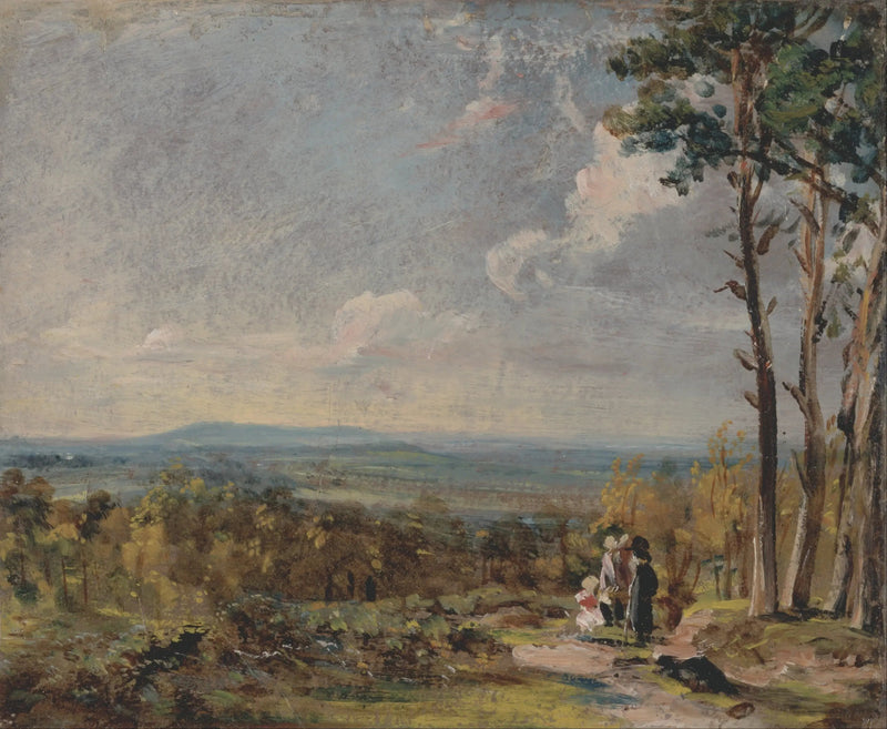 Hampstead Heath in de richting van Harrow - John Constable