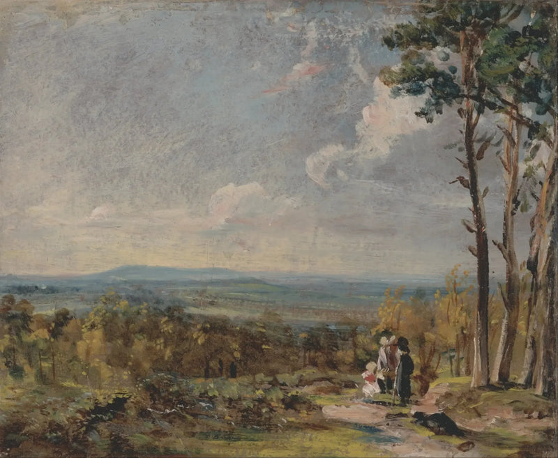 Hampstead Heath in de richting van Harrow - John Constable