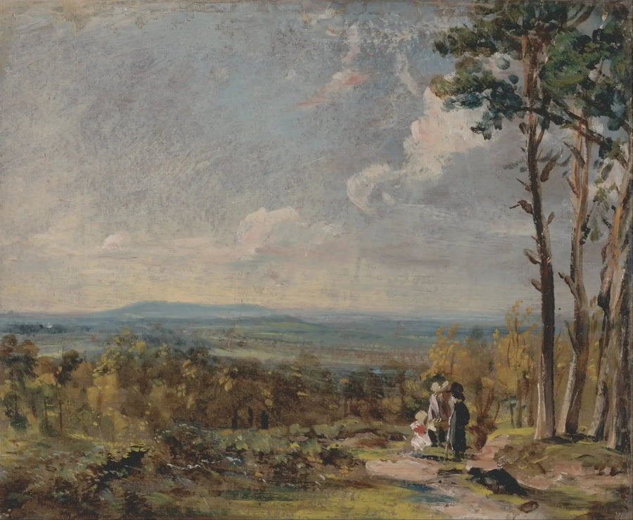 Hampstead Heath in de richting van Harrow - John Constable