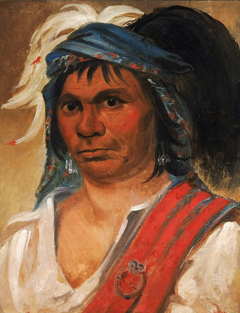 Hard Hickory, een vriendelijke man - George Catlin

Source:
Hard Hickory, un homme aimable - George Catlin
