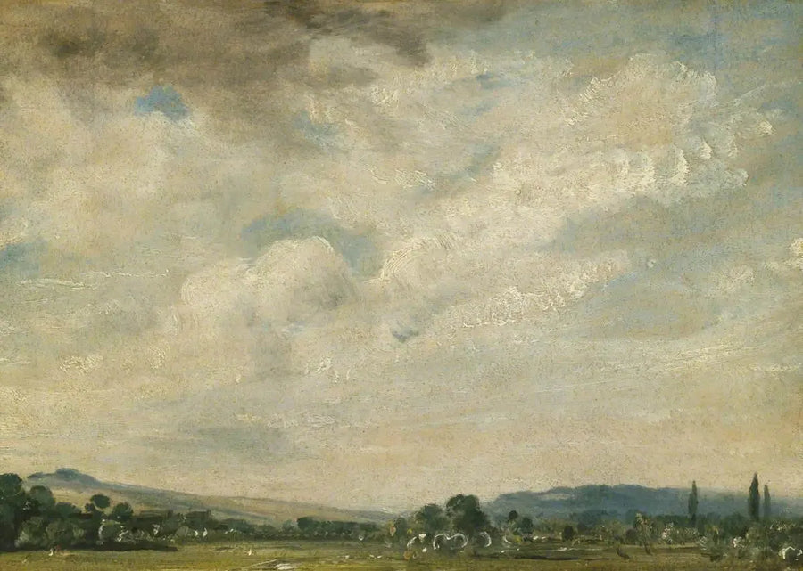 Harnham Ridge, nabij Salisbury - John Constable