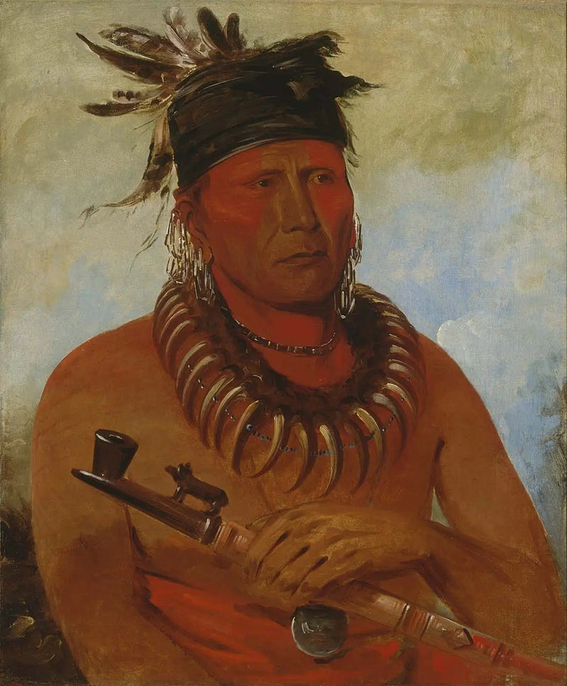 Háw-che-ke-súg-ga, Die de Osages doodt, leider van de stam - George Catlin

Source:
Háw-che-ke-súg-ga, Celui qui tue les Osages, chef de la tribu - George Catlin