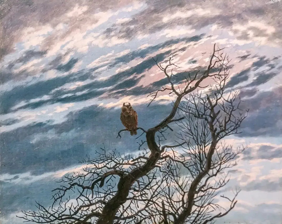 Uil op een boom - Caspar David Friedrich