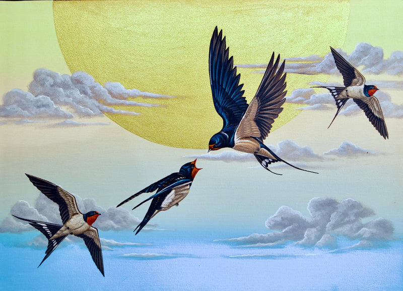 Zwaluw in de Lucht  | 70x50cm