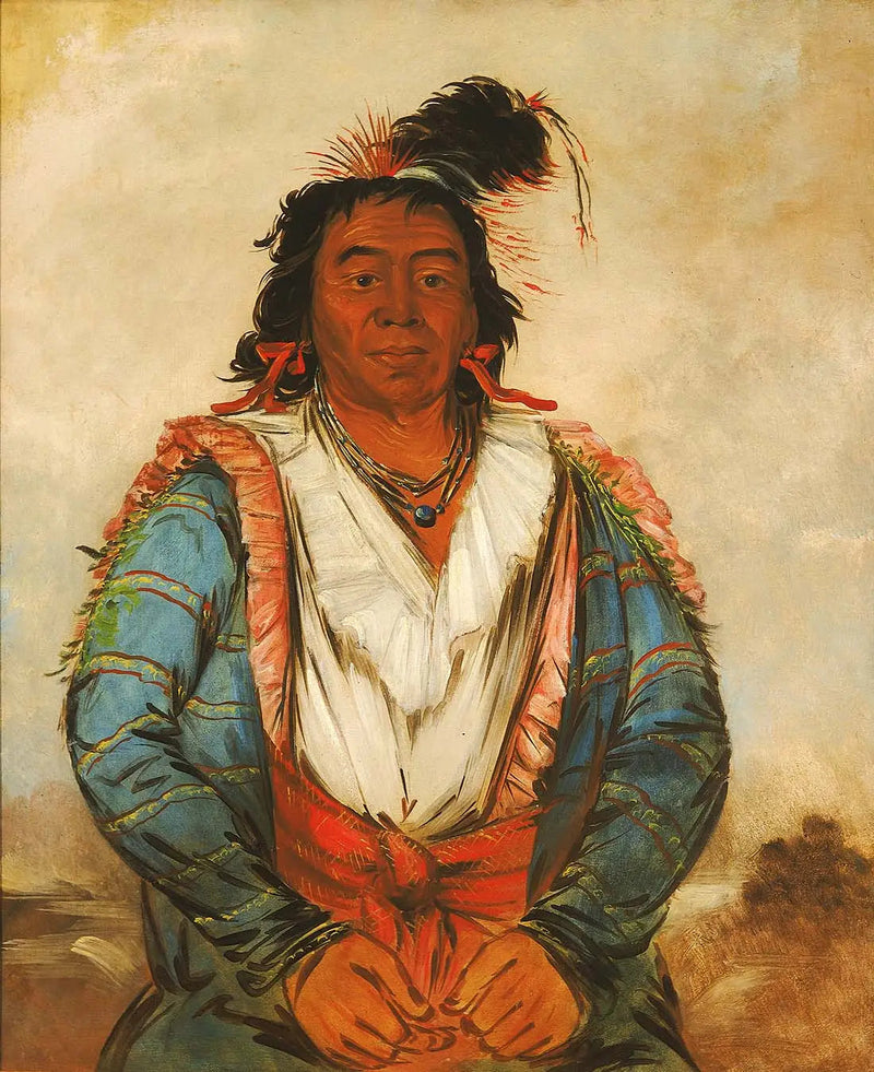 Hose-put-o-káw-gee, een dapper - George Catlin

Source:
Hose-put-o-káw-gee, un Brave - George Catlin