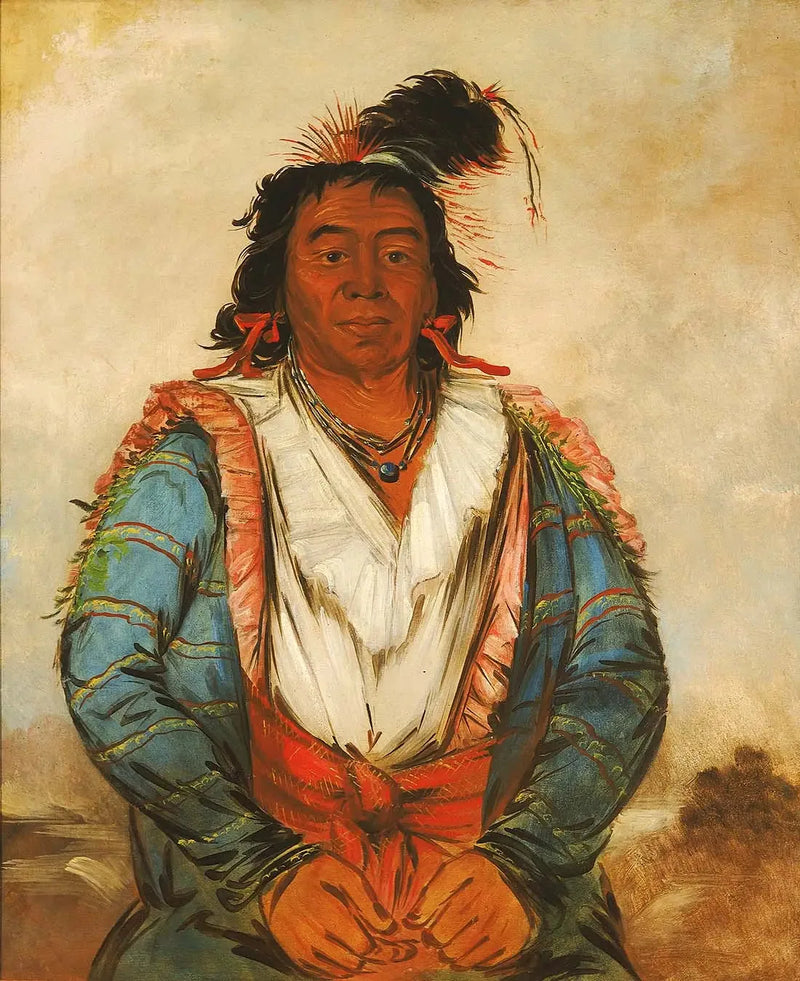 Hose-put-o-káw-gee, een dapper - George Catlin

Source:
Hose-put-o-káw-gee, un Brave - George Catlin