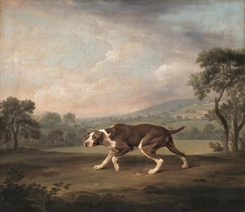 Reproductie van een schilderij van George Stubbs

Source:
Q29920438 - George Stubbs