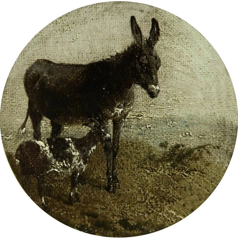 Acht ronde boerderijdieren scènes: ezel en geit - John Frederick Herring, Sr.

Source:
Huit scènes de ferme circulaires : âne et chèvre - John Frederick Herring, Sr.