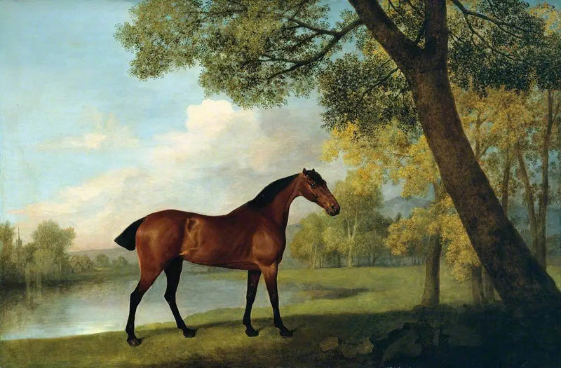 Hunter aan de rand van een meer - George Stubbs

Source:
Hunter bai au bord d'un lac - George Stubbs