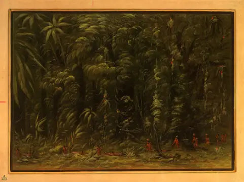 Interieur van een Amazonewoud - Zurumati - George Catlin

Source:
Intérieur d'une forêt amazonienne - Zurumati - George Catlin