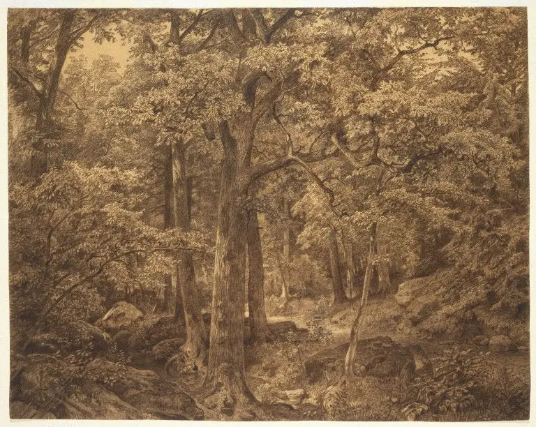 Binnenkant van het bos - William Trost Richards