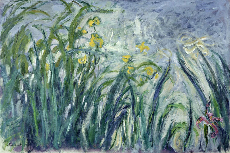 Gele en paarse irissen - Claude Monet