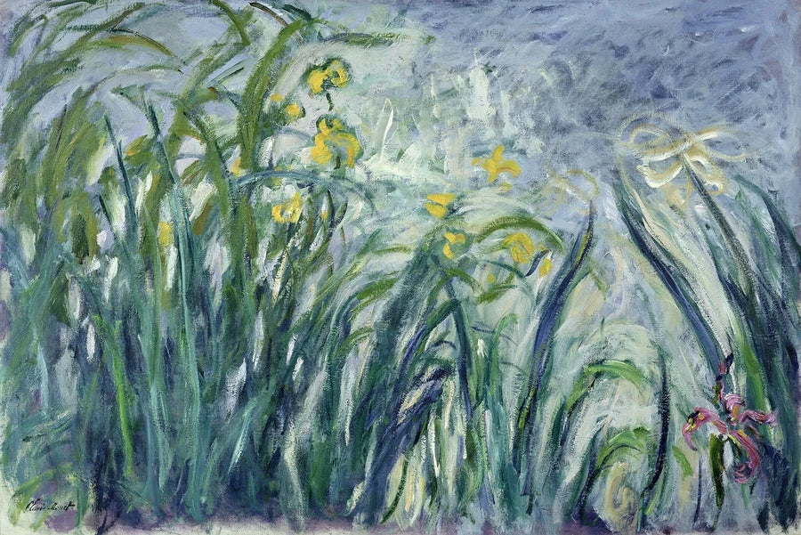 Gele en paarse irissen - Claude Monet