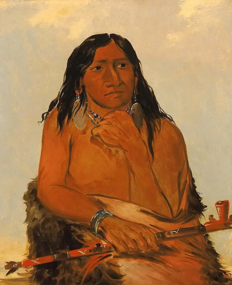 Is-sa-wáh-tám-ah, wolf vastgebonden met haar, een leider - George Catlin

Source:
Is-sa-wáh-tám-ah, Loup attaché avec des cheveux, un chef - George Catlin