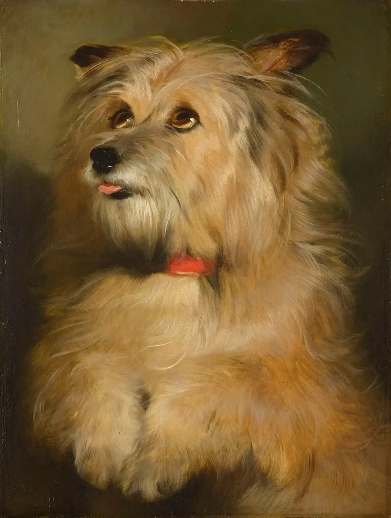 Islay - Edwin Henry Landseer

Source:
Islay - Edwin Henry Landseer