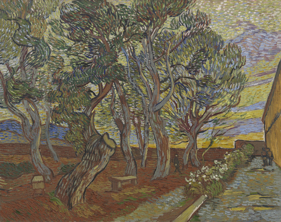 Tuin van het Asiel - Vincent van Gogh