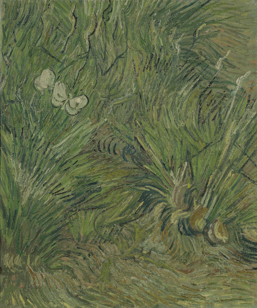 Tuin der vlinders - Vincent van Gogh