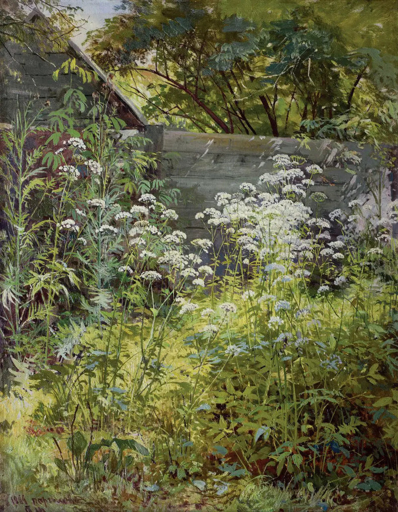 Hoektuin overwoekerd door de vegetatie. Aegopodium - Ivan Chichkine

Source:
Jardin d'angle envahi par la végétation. Aegopodium - Ivan Chichkine