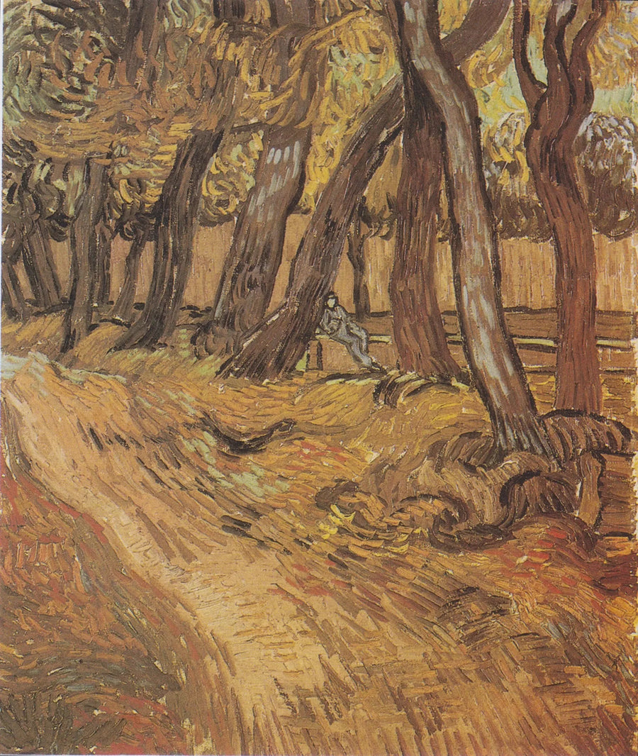 Tuin van het Sint-Paulusziekenhuis met figuur, De - Vincent van Gogh