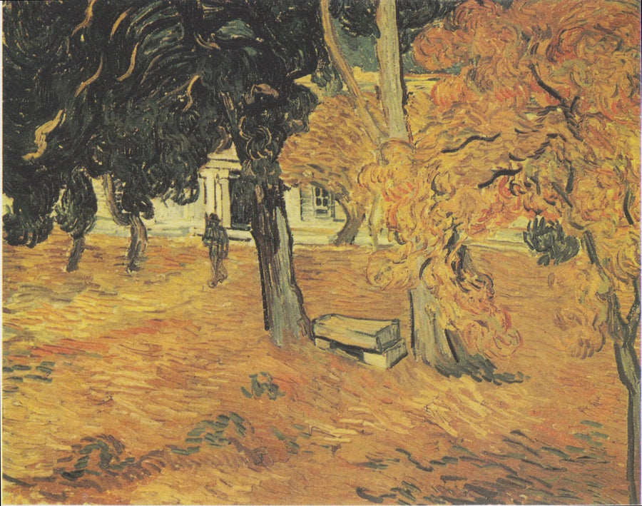 Tuin van het Sint-Paulusziekenhuis, De - Vincent van Gogh