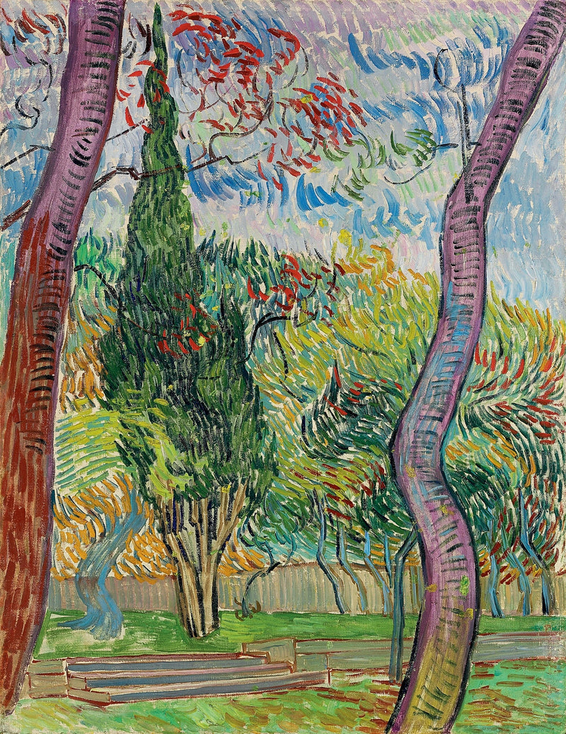 Park van het Sint-Paulusziekenhuis - Vincent van Gogh