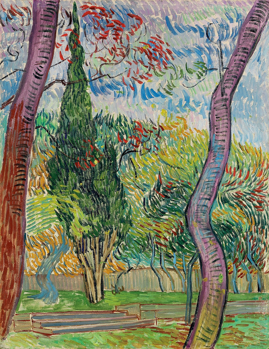 Park van het Sint-Paulusziekenhuis - Vincent van Gogh