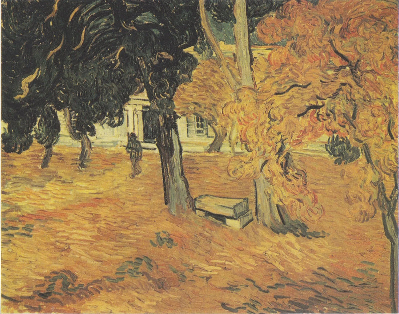 Tuin van het Sint-Paulusziekenhuis, De - Vincent van Gogh