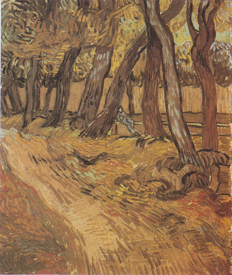 Tuin van het Sint-Paulusziekenhuis met figuur, De - Vincent van Gogh